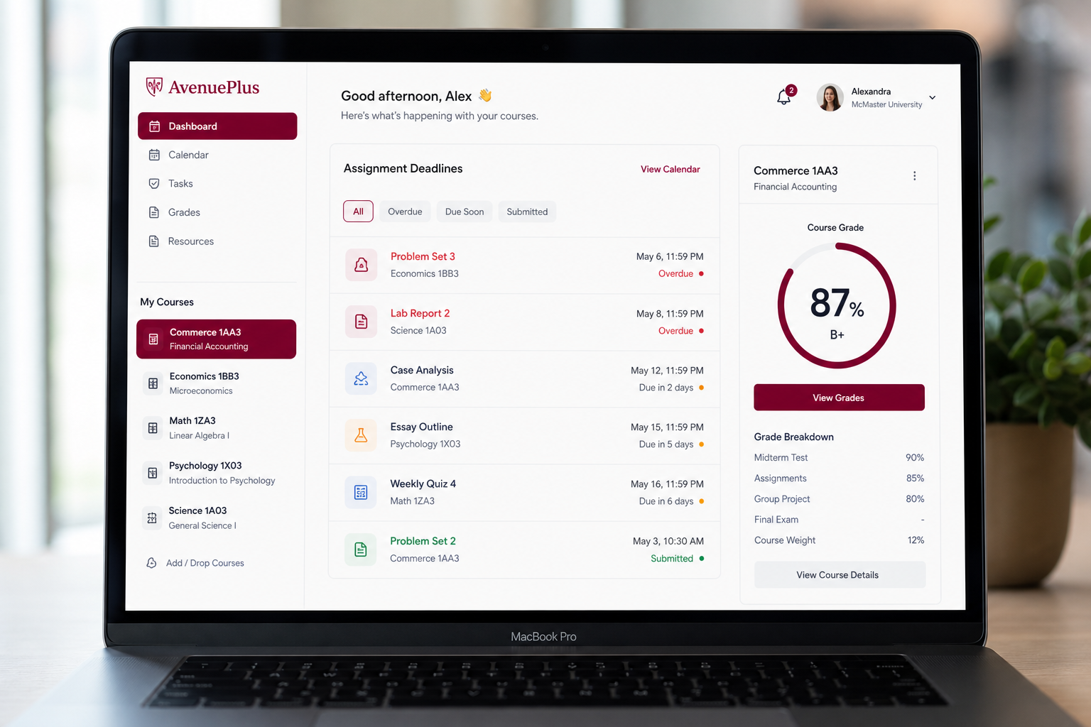 AvenuePlus dashboard preview